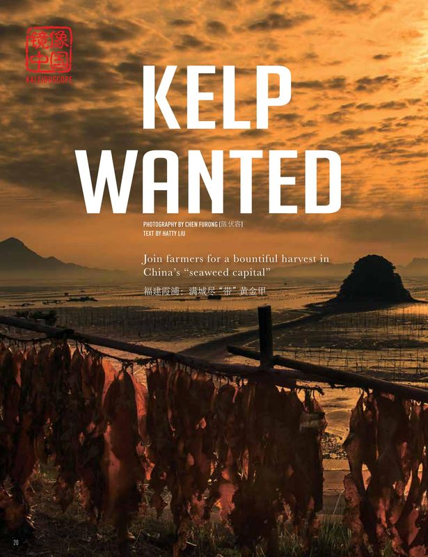 "Kelp Wanted" is a story from the World of Chinese recent issue Alpine Ambitions.