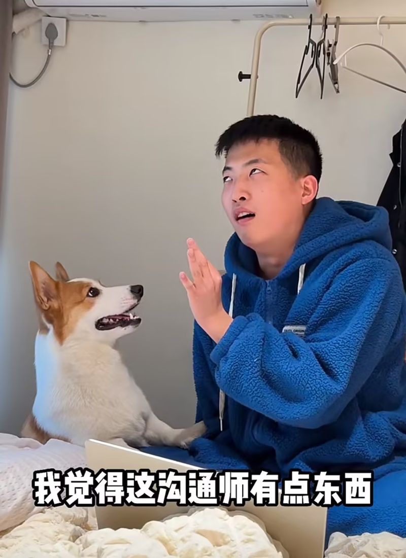 Meme of Chinese dog doubting a Chinese Pet communicator
