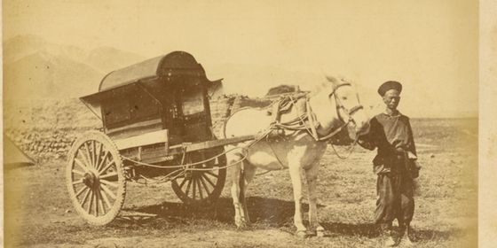 A_Chinese_Official’s_Horse-Drawn_Cart._China,_1875