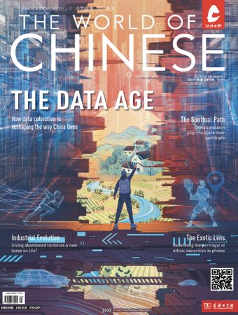 The Data Age coverr