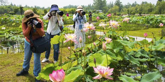 Tourists in Nanjing